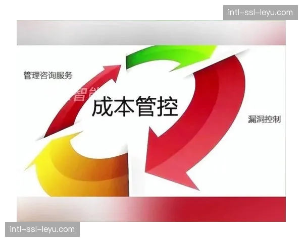 制作成本核算模型精细化,实现项目投入产出精准评估。 制作成本核算模型精细化,实现项目投入产出精准评估。